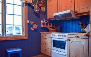 een keuken met een fornuis en een blauwe muur bij Hysjulien Grd in Skåbu