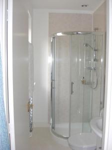 a bathroom with a shower with a toilet and a sink at Seggat Farm Holiday Cottages in Kirktown of Auchterless