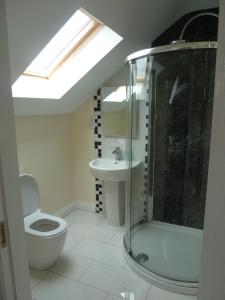 a bathroom with a shower and a toilet and a sink at Oatlands Self Catering Lets in Hillsborough