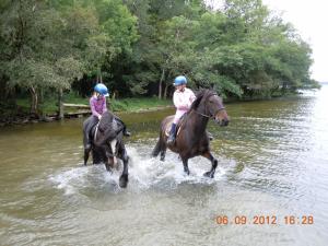 صورة لـ Ross House Equestrian Holidays في Mountnugent