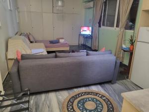 uma sala de estar com um sofá e uma televisão em ATHENS HAUSE BY ATHENS em Atenas