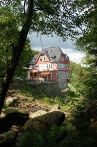 una casa grande en la cima de una colina con árboles en Waldgasthaus & Berghotel Steinerne Renne, en Wernigerode