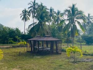 a gazebo in a field with palm trees at Coconi House in Tuxpan de Rodríguez Cano