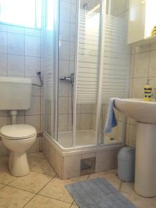 a bathroom with a shower and a toilet and a sink at Apartments with a parking space Grebastica, Sibenik - 4882 in Bašelovići +59 photos