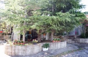 Vonkajšia záhrada v ubytovaní Apartment Murter 5103a