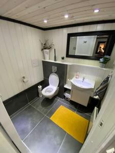 a bathroom with a toilet and a sink at Koselig låve in Ålesund