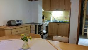 a kitchen with a sink and a stove top oven at Počitniška hiša Ukanc in Bohinj