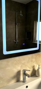 um lavatório de casa de banho com um espelho e um chuveiro em Bejart Apartment 3 em Tirana