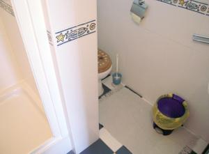 a small bathroom with a toilet and a trash can at Family friendly house with a swimming pool Jezera, Murter - 5124 in Jezera +13 photos