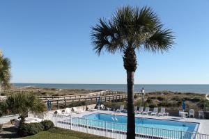 a palm tree and a swimming pool next to the beach at Beachside Motel - Amelia Island in Amelia Island