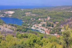 Fotografia z galérie ubytovania Seaside luxury villa with a swimming pool Bobovisca na Moru, Brac - 14405 v destinácii Milna