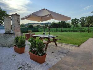 A garden outside Casa Montefiore 13 LT nella tranquilla campagna Marchigiana