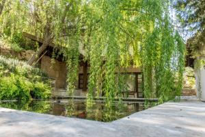 a house with a pond in front of it at Secret Forest - Wellness Retreat & Healing Spa in Miliou