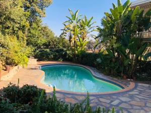 a swimming pool in a garden with plants at Acoustic Guest House in Pretoria
