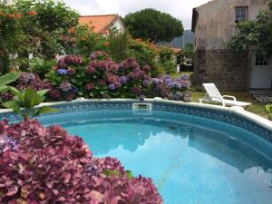 Swimming pool sa o malapit sa Casa dos Platanos-Family Home