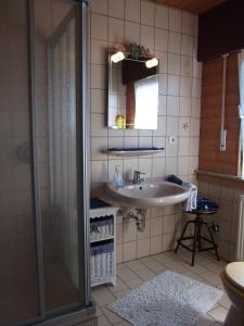 a bathroom with a shower and a sink at Haus Alexandra in Bad Driburg