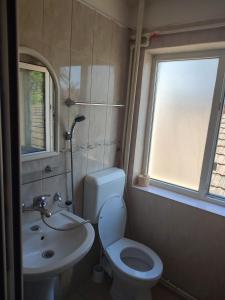 a small bathroom with a toilet and a sink at Hostel EMY Camere cu baie proprie aproape de plaja 3 Papuci in Constanţa