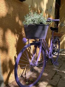 un vélo violet garé à côté d'un mur avec un panier dans l'établissement La casa di Anna, à Torricella