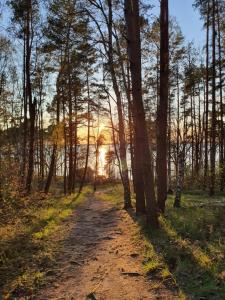 a dirt road in the woods with the sun setting at Lenzer Parkblick am Plauer See in Lenz