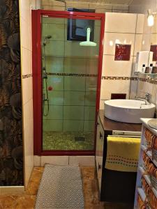 a bathroom with a shower and a sink at Au nid de la foret in Boersch