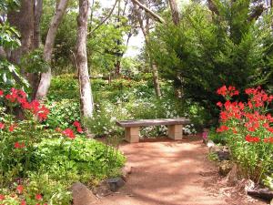 a bench sitting in the middle of a garden with flowers at Holberry House in Nannup