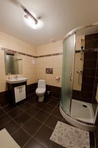 a bathroom with a shower and a toilet and a sink at Agroturystyka Nad Tanwią in Budziarze