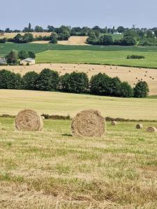 a group of hay bales in a field at Bâtisse XVIII ème, dans enceinte d'un château. in Brains-sur-Gée