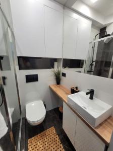 uma casa de banho com um lavatório branco e um WC. em Winnica Apart em Kielce