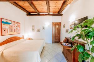 Gallery image of POOL APPARTAMENT in Ischia