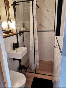 a bathroom with a shower with a sink and a toilet at Apartament SMALL Czarny Potok in Krynica Zdrój