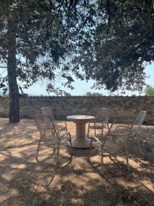 una mesa y cuatro sillas con una mesa y un árbol en La selva, en Arezzo