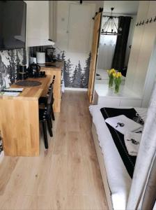 克雷尼察的住宿－Apartament SMALL Czarny Potok，一间配有沙发和柜台的厨房