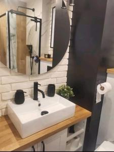 een badkamer met een witte wastafel en een spiegel bij Apartament SMALL Czarny Potok in Krynica Zdrój