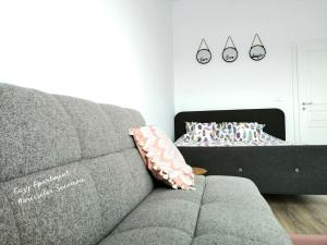 een woonkamer met een bank en een bed bij Cozy Apartment Narciselor Suceava in Ipoteşti