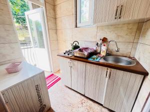 Kuchyň nebo kuchyňský kout v ubytování Dato's GuestHouse