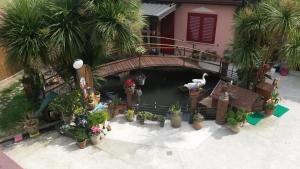 A garden outside Il Laghetto