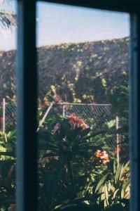 Fotografie z fotogalerie ubytování Hotel Rural La Casa Amarilla v destinaci Los Silos