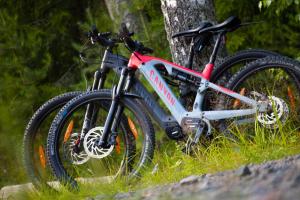 a bike is parked next to a tree at Hideway Glamping Tree tent in Muurame