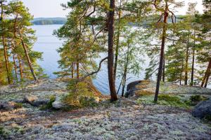 a group of trees and a body of water at Hideway Glamping Tree tent in Muurame