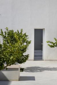 a door in a white building with a plant at I Gelsomini Guest House in Noto