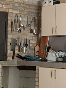 Vikendica apartments Dunav MS في Čelarevo: طاولة مطبخ مع أدوات على جدار من الطوب