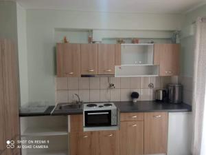 Kuchyň nebo kuchyňský kout v ubytování Vasilis Travlos apartment