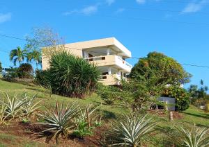 Jardí fora de Charly's place