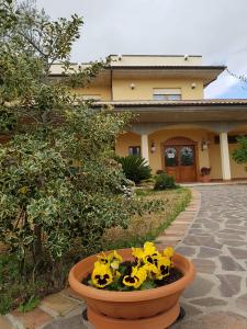 una olla de flores amarillas delante de una casa en Villa L'Anfora B&B, en Pianella