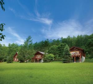 a couple of cottages in a field of green grass at Log Hotel Larch Lake Kanayama in Minamifurano