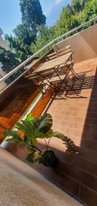 a chair and a plant sitting on a balcony at Résidence Prestige, Calme & Terrasse Ensoleillée in Grenoble