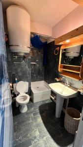 a bathroom with a toilet and a sink and a tub at la foux d'allos au pied des pistes in La Foux