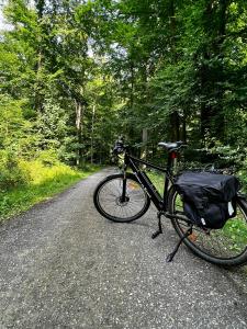 a bike is parked on a road in the woods at Gästehaus am Kurpark in Horn-Bad Meinberg