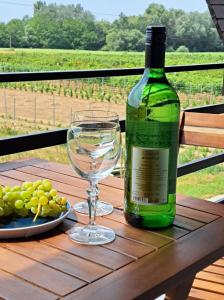 Chotín的住宿－Grapeline Guesthouse，一瓶葡萄酒,坐在一张桌子上,放上一盘葡萄