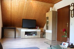 Ferienwohnung "Siggi" في Winsen: غرفة معيشة مع تلفزيون بشاشة مسطحة على جدار خشبي